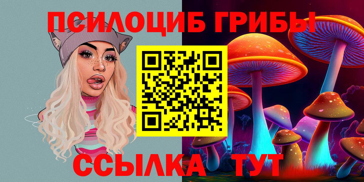 Псилоцибиновые грибы Cubensis  Вход с VPN  Псилоцибиновые грибы прущие грибы  Аксай 