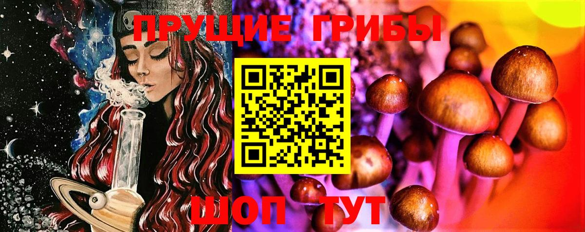 Галлюциногенные грибы Psilocybine cubensis Аксай